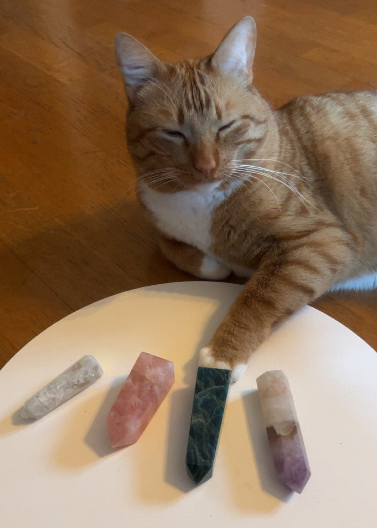 My Cat Mario Chooses Your Crystal Mystery Box Help a Shelter Pet Best Mystery Box Mystery Crystal Tower Crystal Sphere Cat Picks Mystery Box