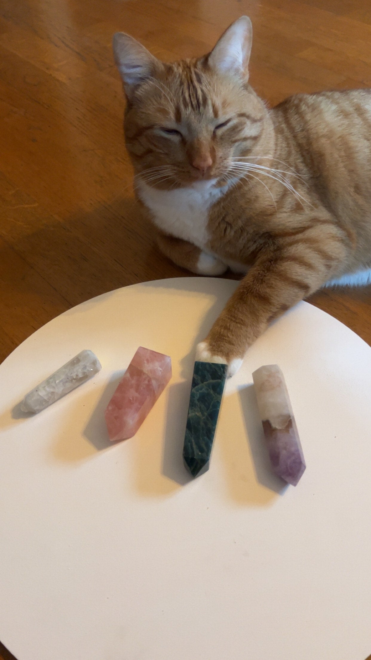 My Cat Mario Chooses Your Crystal Mystery Box Help a Shelter Pet Best Mystery Box Mystery Crystal Tower Crystal Sphere Cat Picks Mystery Box