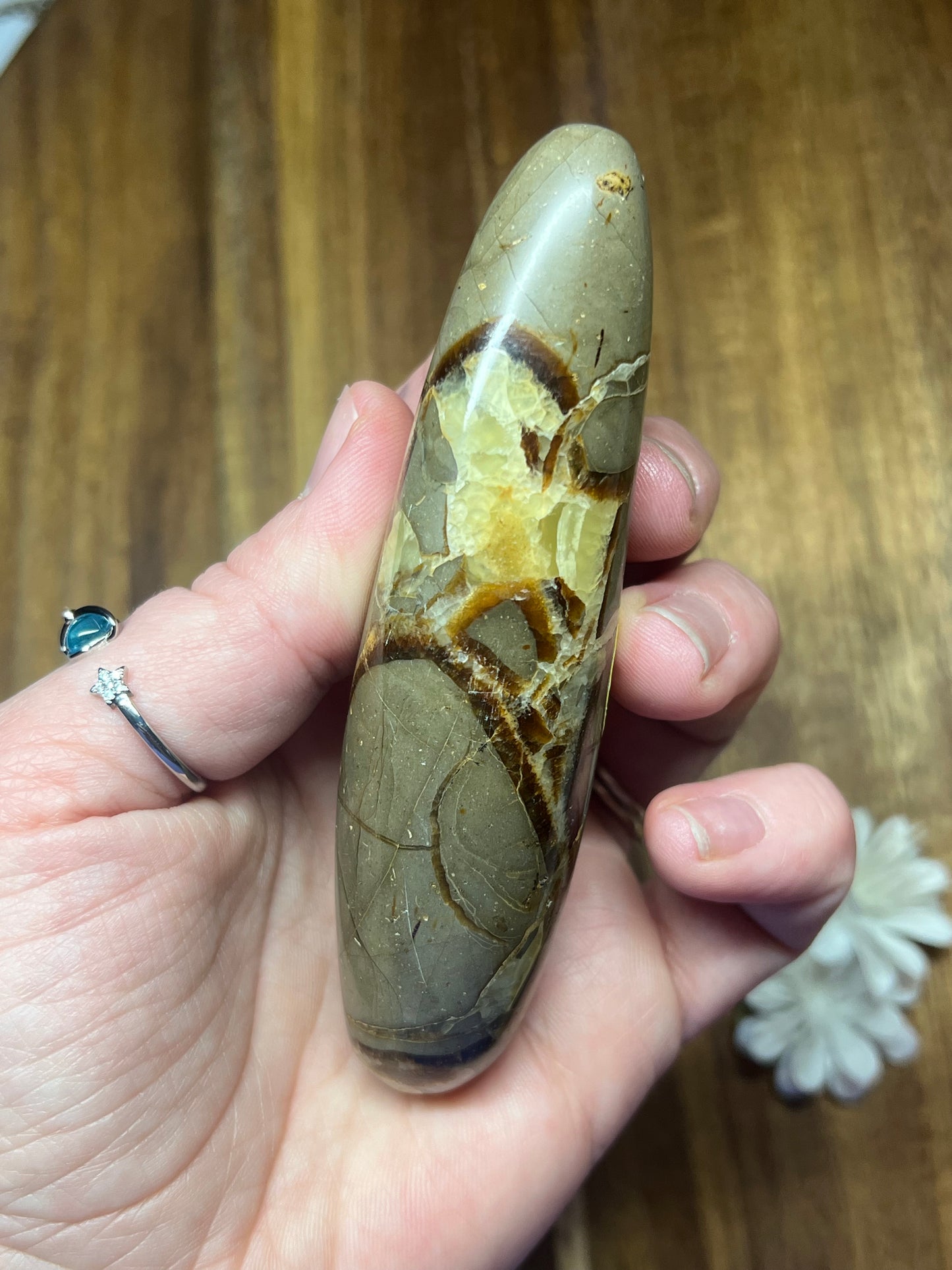 Septarian Wand