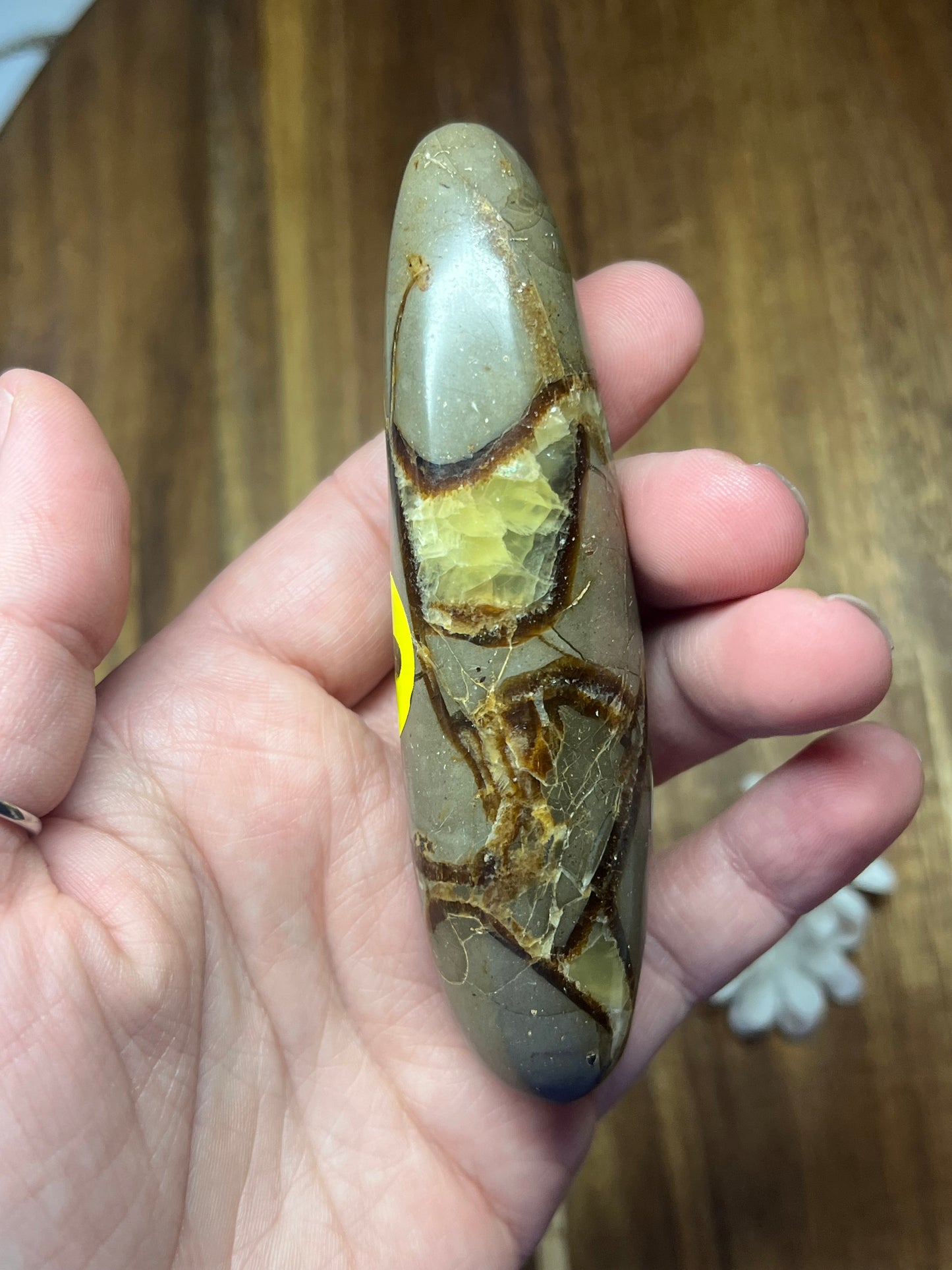 Septarian Wand